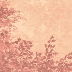 Mural | Heartwood -Home Wallpaper 44240 4