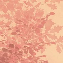 Mural | Heartwood -Home Wallpaper 44240 5