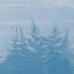 Mural | Forestland -Home Wallpaper 44241 2