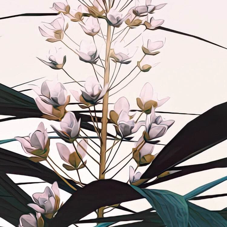 Mural | Jungle Morning 6 Mural | Jungle Morning - Image 6