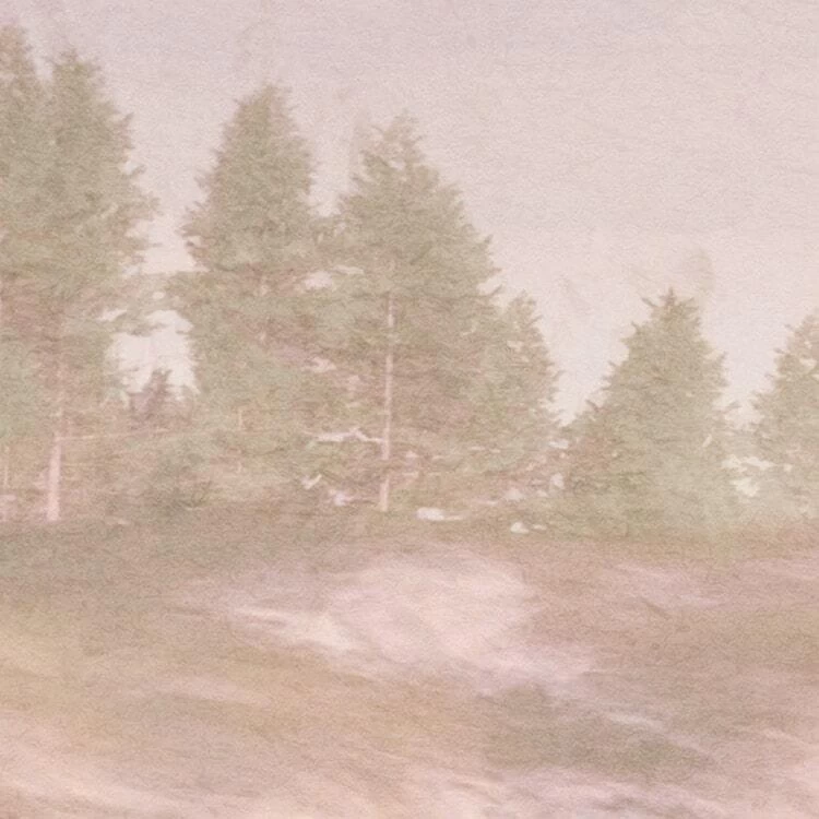 Mural | Lieu Magique 3 Mural | Lieu Magique - Image 3