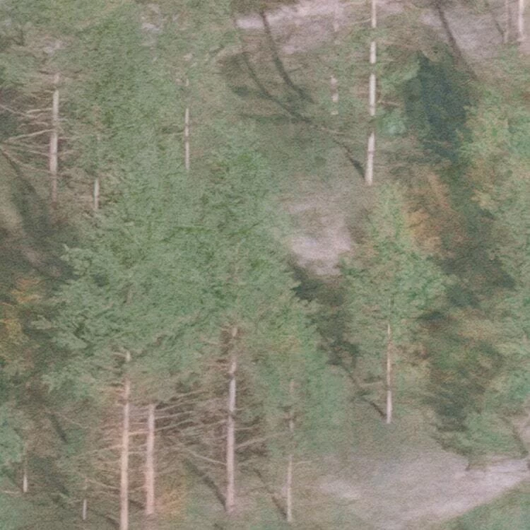 Mural | Lieu Magique 4 Mural | Lieu Magique - Image 4