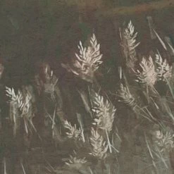 Mural | Lieu Magique 10 Mural | Lieu Magique -Home Wallpaper 44243 4