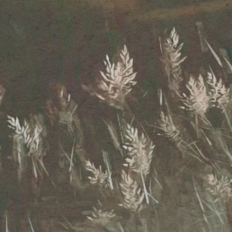 Mural | Lieu Magique 5 Mural | Lieu Magique - Image 5