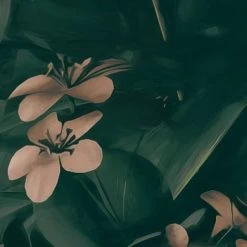 Mural | Manoa - Ruin Through The Trees -Home Wallpaper 44250 3