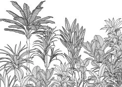 Mural | Savanna - Tropical Black & White -Home Wallpaper 44254 2