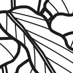 Mural | Savanna - Tropical Black & White -Home Wallpaper 44254 8