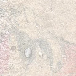 Mural Wall Roses 16 Mural Wall Roses -Home Wallpaper 44263 7