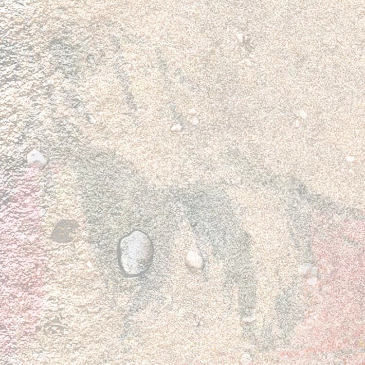 Mural Wall Roses 8 Mural Wall Roses - Image 8