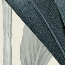 Mural | Naïve - Pastel Plants -Home Wallpaper 44291 5