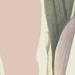 Mural | Naïve - Pastel Plants -Home Wallpaper 44291 7