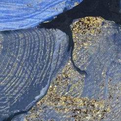 Mural | Cherie - Bold Blue Flowers -Home Wallpaper 44292 6