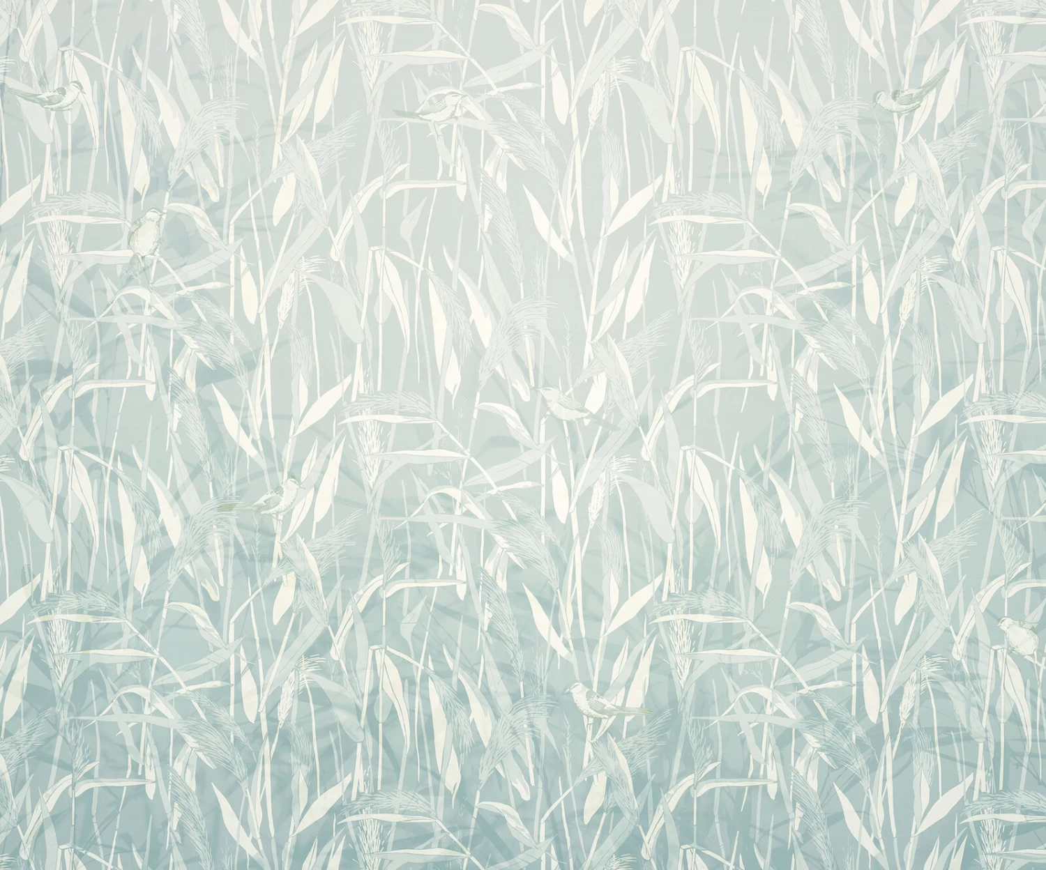 Mural | Reed - Relaxing Blue Grasses 2 Mural | Reed - Relaxing Blue Grasses - Image 2