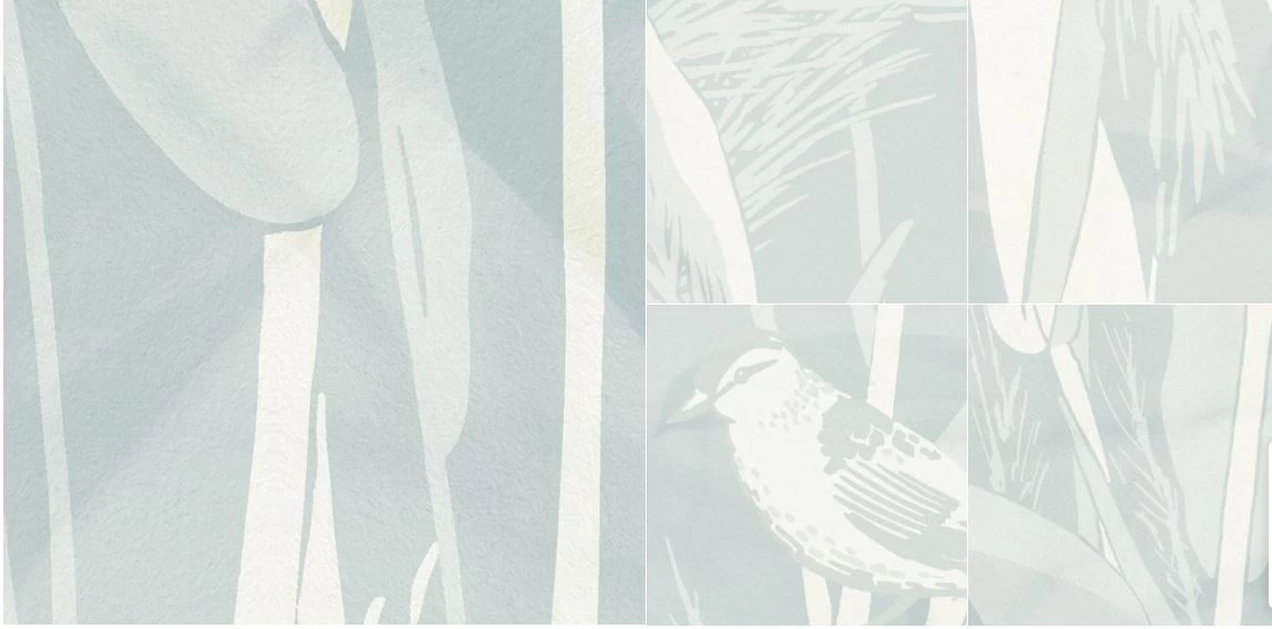 Mural | Reed - Relaxing Blue Grasses 5 Mural | Reed - Relaxing Blue Grasses - Image 5