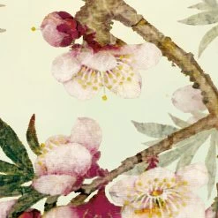 Sakura | Cherry Blossom Mural -Home Wallpaper 8 213 6
