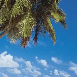 Mural | Maldives -8-240 - Tropical Beach -Home Wallpaper 8872 2