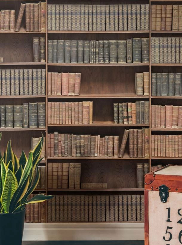 Kemra | Bookshelf 2 Kemra | Bookshelf - Image 2