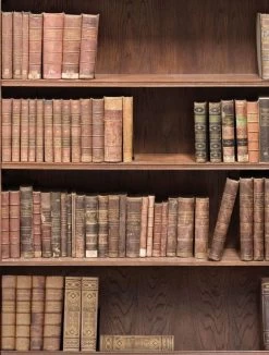 Kemra | Bookshelf 5 Kemra | Bookshelf -Home Wallpaper 9745 2