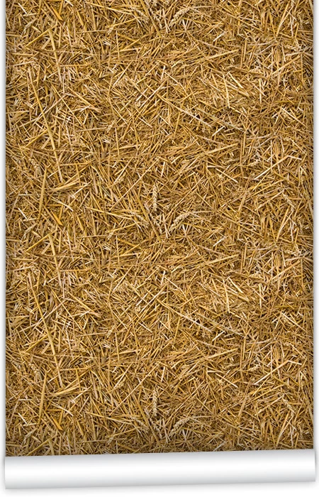 Kemra | Straw 1 Kemra | Straw