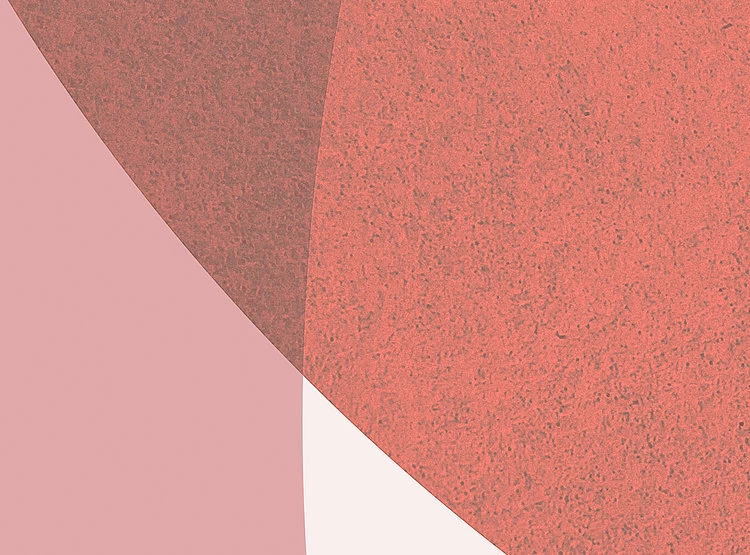 Form | Peachy Geometric Mural 5 Form | Peachy Geometric Mural - Image 5