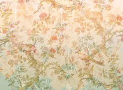 Mural | Oiseau De Paradis