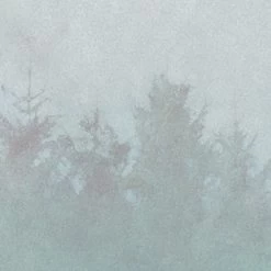 Hazy Hush | Sunrise Landscape Mural 12 Hazy Hush | Sunrise Landscape Mural -Home Wallpaper IF2 006 4