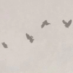 Hazy Hush | Sunrise Landscape Mural 14 Hazy Hush | Sunrise Landscape Mural -Home Wallpaper IF2 006 6