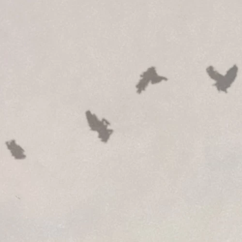 Hazy Hush | Sunrise Landscape Mural 7 Hazy Hush | Sunrise Landscape Mural - Image 7