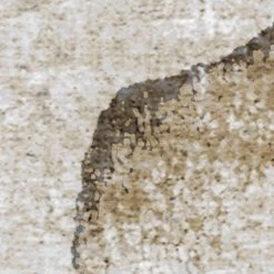 Rustic Roses | Gold Flower Mural -Home Wallpaper IF2 008 4