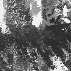 Lustres Lapland | Charcoal Forest Mural 12 Lustres Lapland | Charcoal Forest Mural -Home Wallpaper IF2 014 4