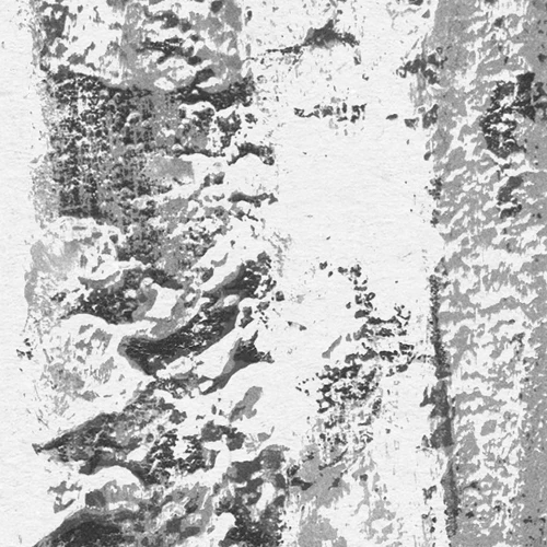 Lustres Lapland | Charcoal Forest Mural 6 Lustres Lapland | Charcoal Forest Mural - Image 6