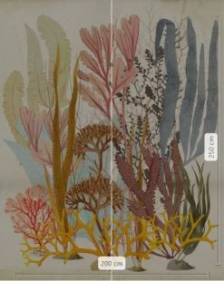Catchy Corals | Vibrant Sea Plant Mural -Home Wallpaper IF2 028 3