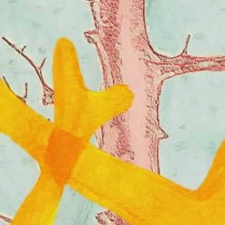 Catchy Corals | Vibrant Sea Plant Mural -Home Wallpaper IF2 028 6