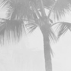 Salty Sea | Cloudy Palm Mural -Home Wallpaper IF3 033 4