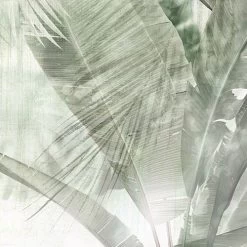 Botanical Boho | Green Palm Mural 14 Botanical Boho | Green Palm Mural -Home Wallpaper IF4 001 6