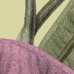 Timeless Temple | Geo Jungle Mural -Home Wallpaper IF4 057 4