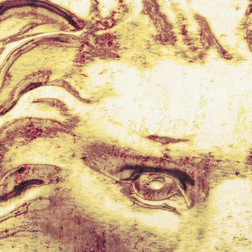 Roaring Royal | French Panel Mural 7 Roaring Royal | French Panel Mural - Image 7