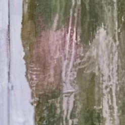 Secret Stash | Garden Window Mural -Home Wallpaper IF4 088 5