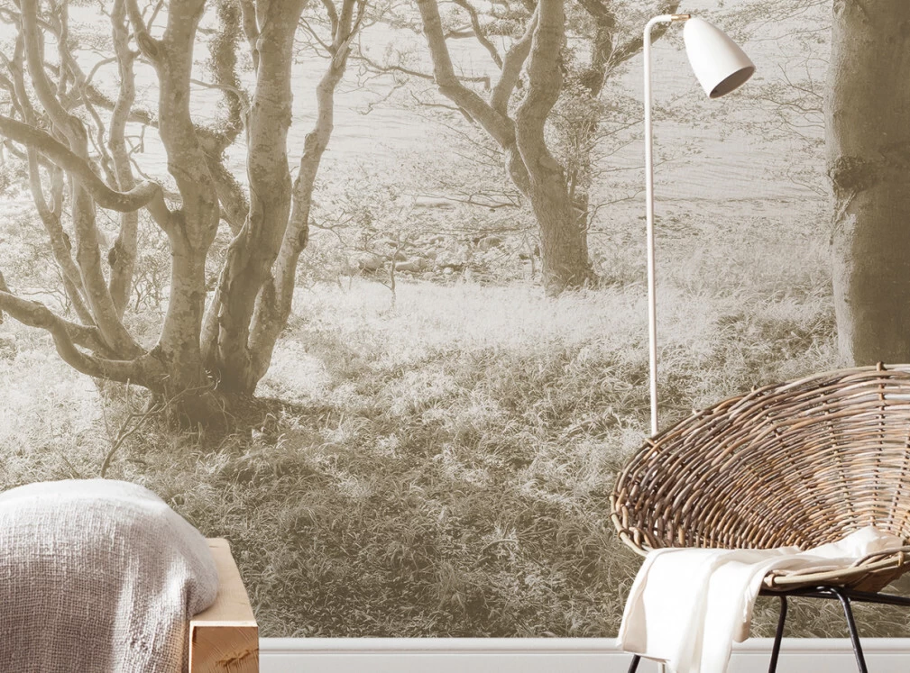 Bleached Birch | White Forest Mural 3 Bleached Birch | White Forest Mural - Image 3