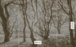 Bleached Birch | White Forest Mural 11 Bleached Birch | White Forest Mural -Home Wallpaper IFSH4 072 3