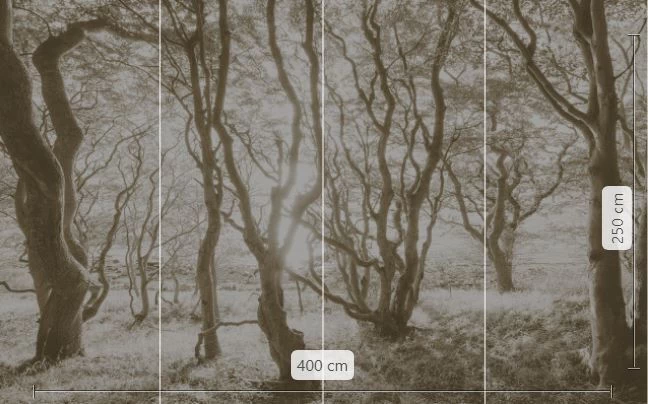 Bleached Birch | White Forest Mural 4 Bleached Birch | White Forest Mural - Image 4