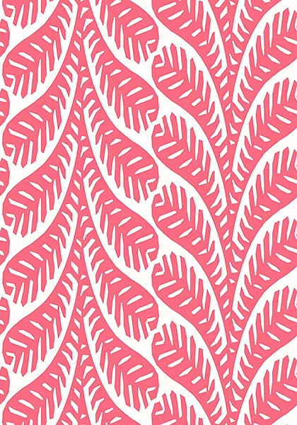 Ginger | T20831 1 Ginger | T20831