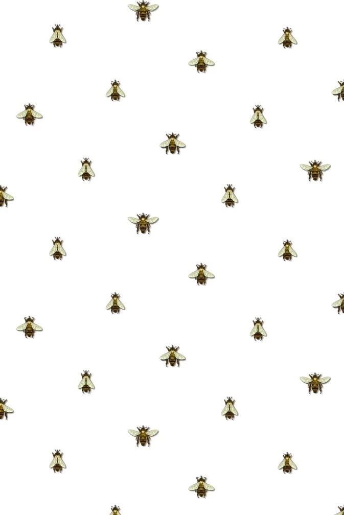 Wild Honey Bee Spot Wallpaper 2 Wild Honey Bee Spot Wallpaper - Image 2