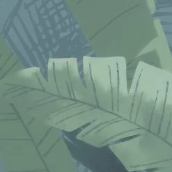 Enchanted Jungle | Shadowy Tropics Mural -Home Wallpaper X7 1013 3