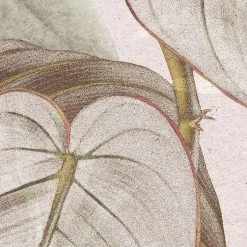 Kalina | Pink Botanics Mural -Home Wallpaper X7 1043 3