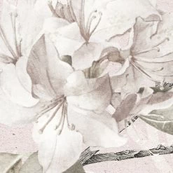 Kalina | Pink Botanics Mural -Home Wallpaper X7 1043 5