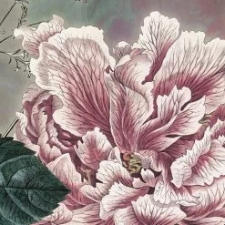 Everlasting | Delicate Florals Mural -Home Wallpaper X7 1075 2