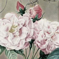 Everlasting | Delicate Florals Mural -Home Wallpaper X7 1075 3