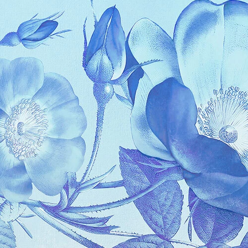 Blue Aura | Draping Blossom Mural 4 Blue Aura | Draping Blossom Mural - Image 4