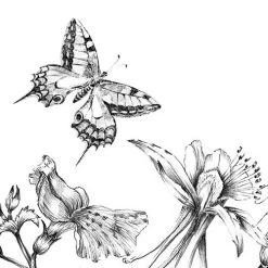 Butterfly Field | Flora & Fauna Mural -Home Wallpaper X8 1085 2